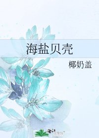 《海盐贝壳》