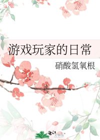《游戏玩家的日常》