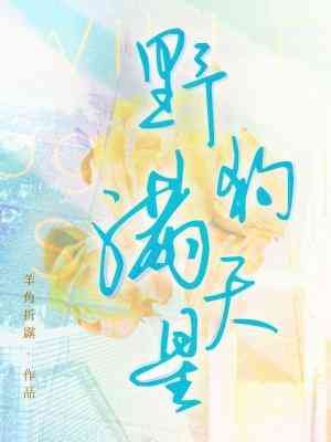 《野狗满天星》
