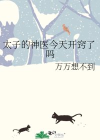 《太子的神医今天开窍了吗》