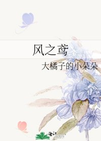 《风之鸢》