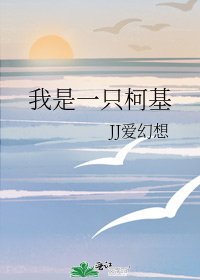 我是一只柯基