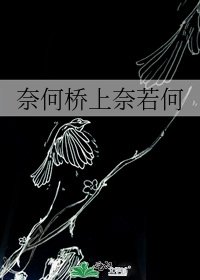 《奈何桥上奈若何》