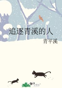 《追逐青溪的人》