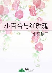 小百合与红玫瑰