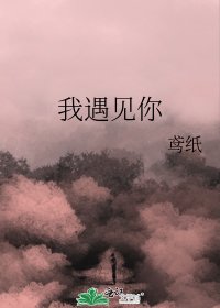 《我遇见你》
