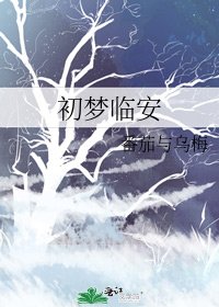《初梦临安》