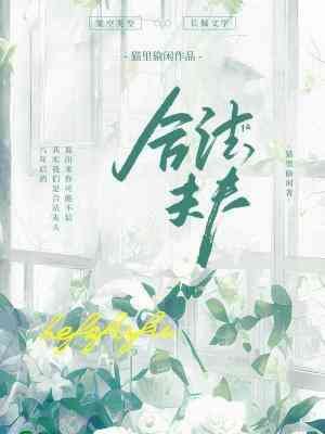 《合法夫夫》