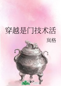 《穿越是门技术活》