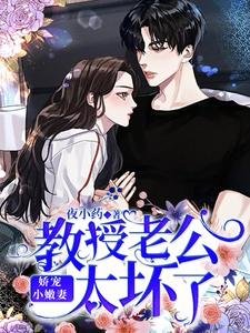 《娇宠小嫩妻:教授老公太坏了》