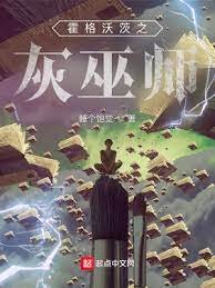 《(HP同人)霍格沃茨之灰巫师》