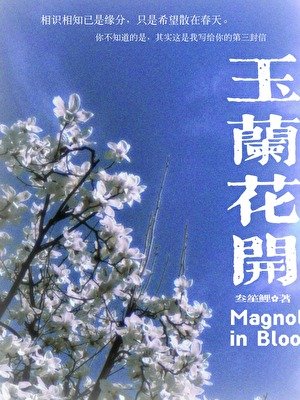 《玉兰花开》