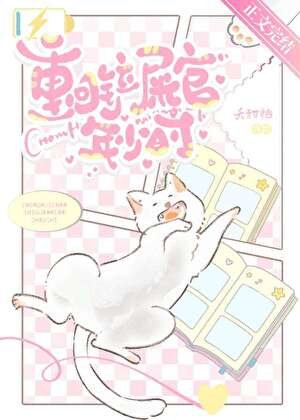 重回铲屎官年少时