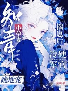 《知青小孕妻揣崽后冷硬军官跪地宠》