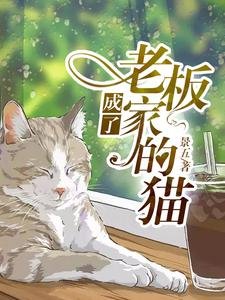 《成了老板家的猫》