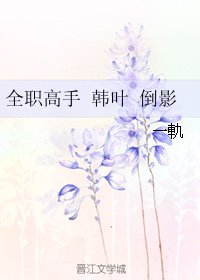 (BL/全职高手同人）全职高手 韩叶 倒影