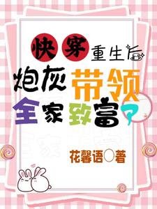 《快穿:重生后炮灰带领全家致富了》