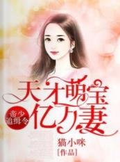 帝少追缉令，天才萌宝亿万妻