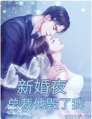 新婚夜，总裁他毁了我