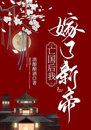 亡国后我嫁了新帝