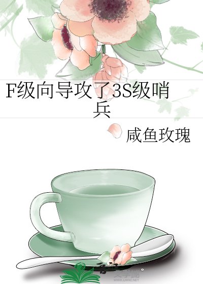 F级向导攻了3S级哨兵