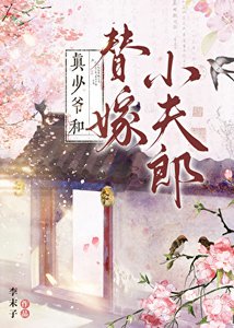 《真少爷和替嫁小夫郎》