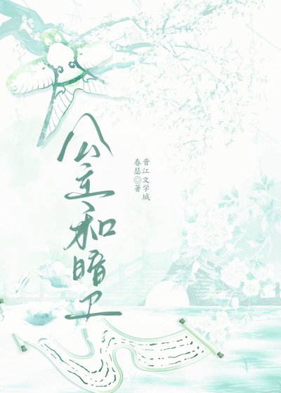 《公主和暗卫》