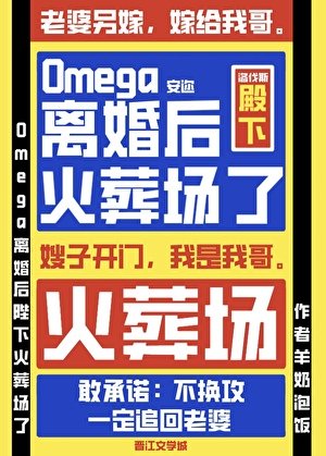 《Omega离婚后陛下火葬场了》