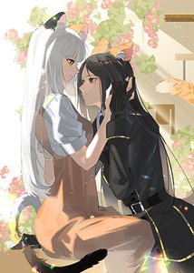 捡来的胖橘是帝国皇女