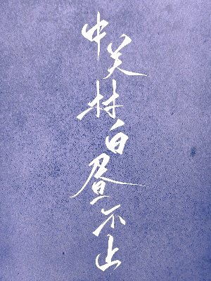 中关村白昼不止