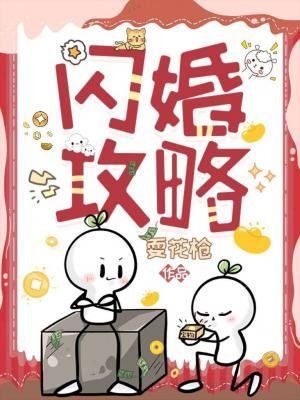 闪婚攻略