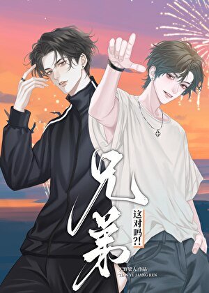 《兄弟,这对吗?!》