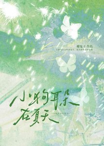 《小狗耳朵在夏天》