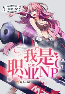 我是职业NPC