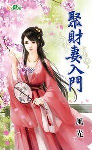 聚财妻入门