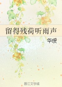 《留得残荷听雨声》