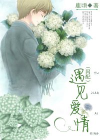 遇见爱情（网配）