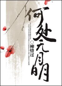 《何处无月明》