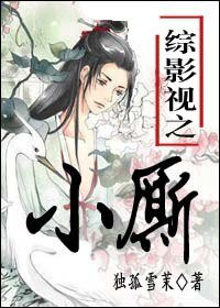 《(综影视同人)综影视之小厮》