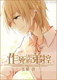 （综同人）养成/作死的弟控