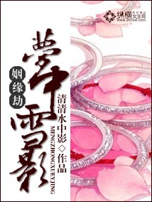 姻缘劫：梦中雪影