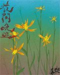 《花间晚照》