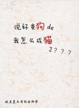 （BG/综漫同人）说好变狗的我怎么变成猫了！[综]