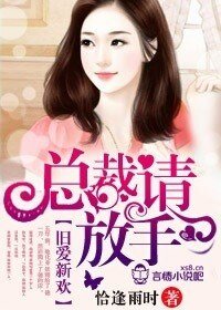 《旧爱新欢,总裁请放手》