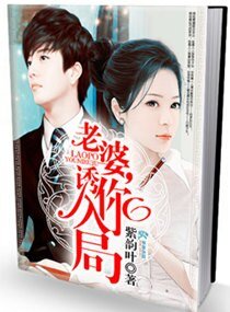 《老婆,诱你入局》