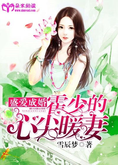 《盛爱成婚:霍少的心尖暖妻》