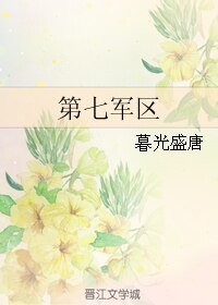 第七军区